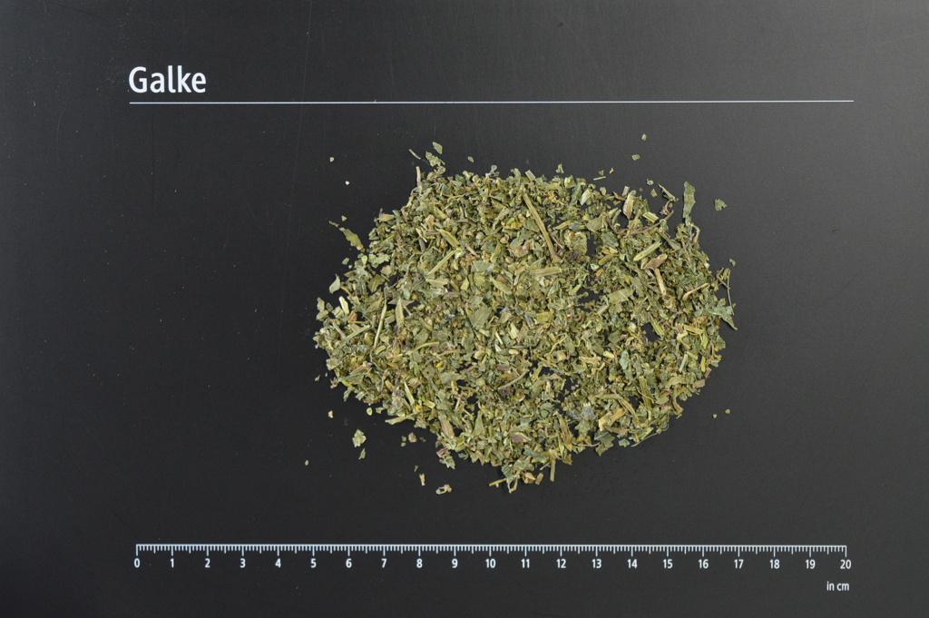 Mercury herb cut